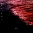 Deep Phonic