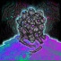 Rampant Decomposition