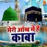 Aslam Gondvi