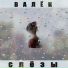 Валёк