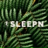 SLEEPN