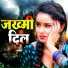 Vandna Dubey, Kamlesh Kartik