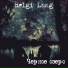 Helgi Lang