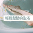 郝清越