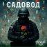 Белый лис