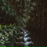 Clearlight