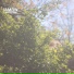 iamrw
