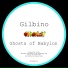Gilbino