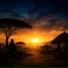 Africana King, Eesah, L'entourloop