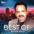 Akram Rahi