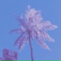 Sunseton