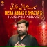Hasnain Abbas