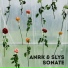 ANRK, SLYS