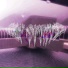 LXCVS