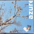 Sawat