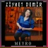 Ziynet Demir