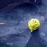Marcosth3frog