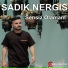 Sadık Nergis