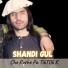 Shandi Gul
