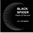 DJ TIESTO Black Spider!