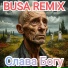 BUSA REMIX