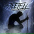 Steelfly