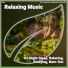 Yoga, Sleep Music, Relaxing Music by Darius Alire