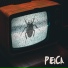 PeiCa