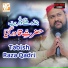 Tabish Raza Qadri