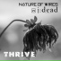 j:dead, Nature Of Wires