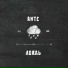 ANTE
