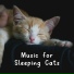 Cat Music Therapy