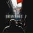 Dominint 7