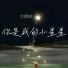大图钉
