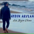 Aydın Arslan
