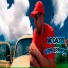 MC DACITY