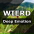 Wierd