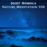 Josef Homola