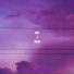 Businkx., ssxrcazm