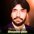 Shensha Bacha