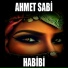 Ahmet Sabi