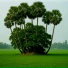 Baul Shantiram, Imdadul Liza