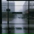 808 Winds, ixan, WOK