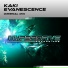 Kaki