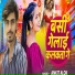 Ankit Alok