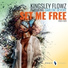 Kingsley Flowz feat. Darlene DeVore