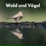Vogelstimmen