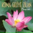 Koma Gelye Zilan