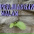 Condro