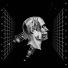 Dark Division